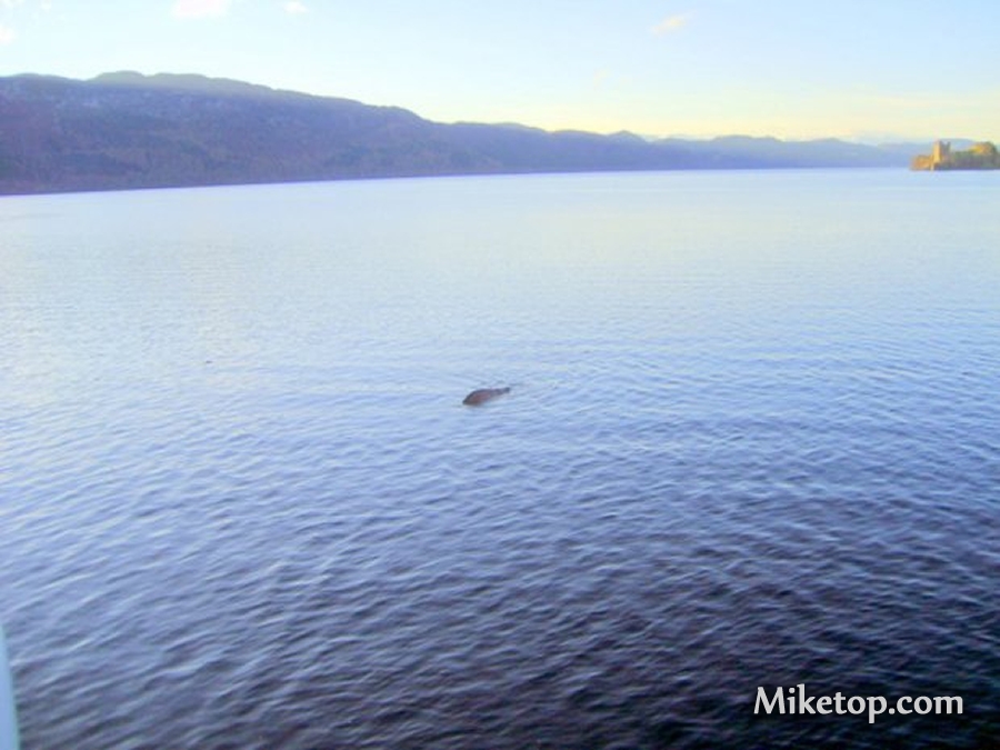 Nessie Monster Lochness Loch Ness Seeungeheuer Fabelwesen Miketop 1